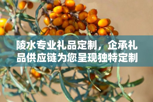 陵水专业礼品定制，企承礼品供应链为您呈现独特定制体验